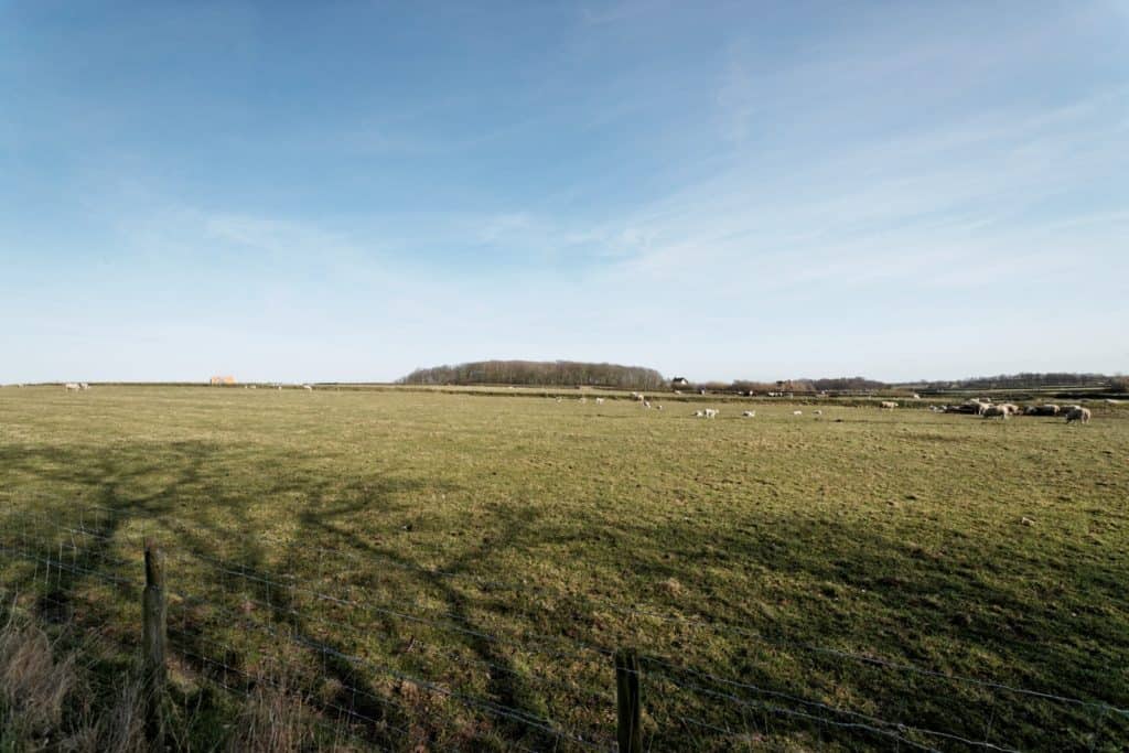 Parel Hoge berg Texel