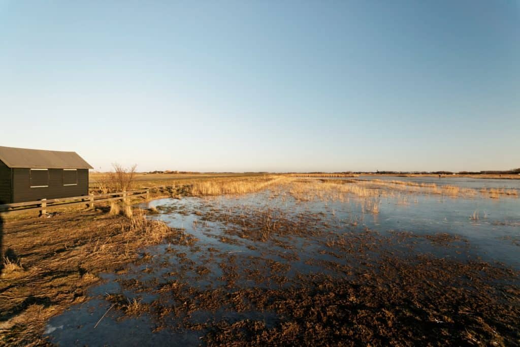 Parel Polder Waalenburg Texel