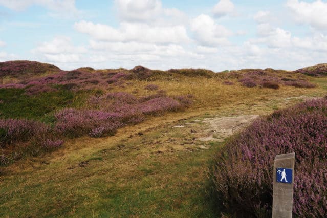 Wandelen route natuur Dennen Texel